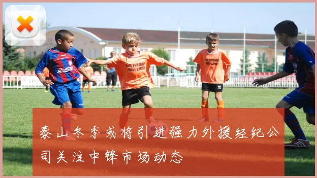 泰山冬季或将引进强力外援经纪公司关注中锋市场动态