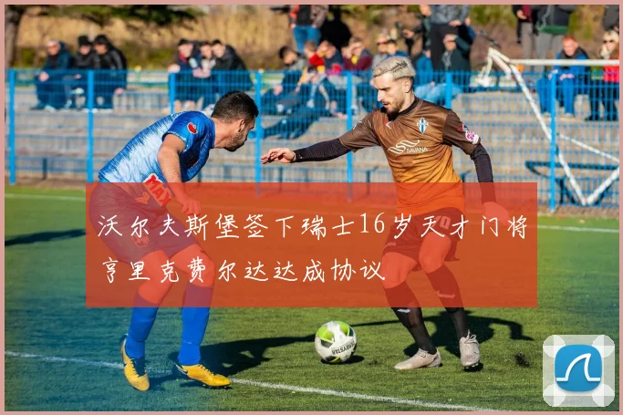 沃尔夫斯堡签下瑞士16岁天才门将亨里克费尔达达成协议