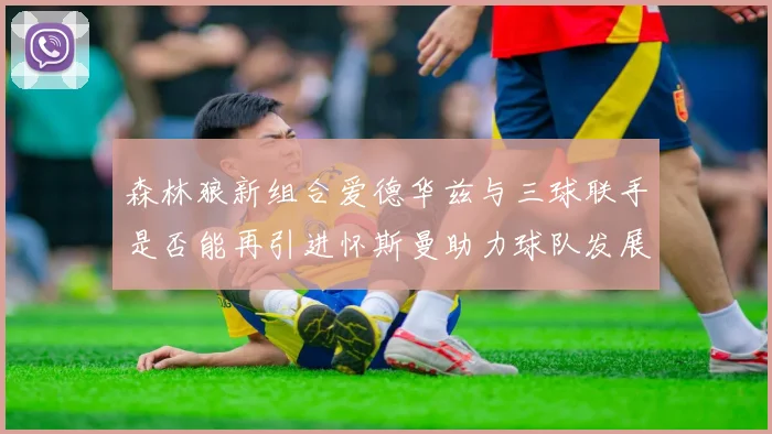 森林狼新组合爱德华兹与三球联手是否能再引进怀斯曼助力球队发展
